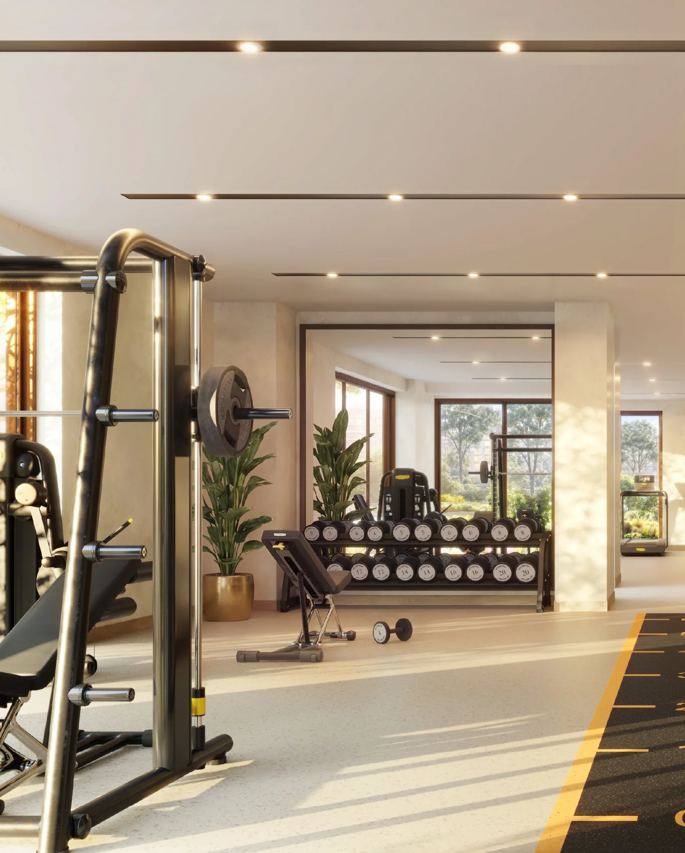 The Canopies · fitness · developer rendering